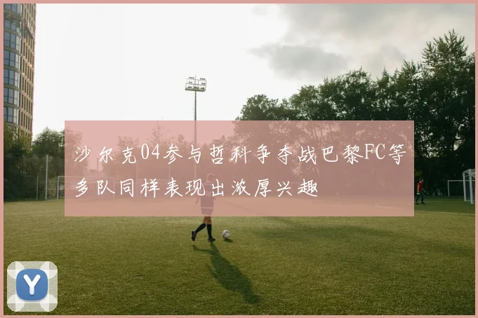 沙尔克04参与哲科争夺战巴黎FC等多队同样表现出浓厚兴趣
