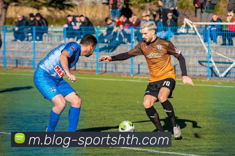 华体会体育平台生态图